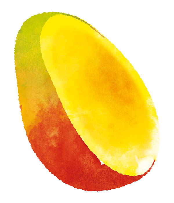 NoMoo: Illustration für Mangoeis
