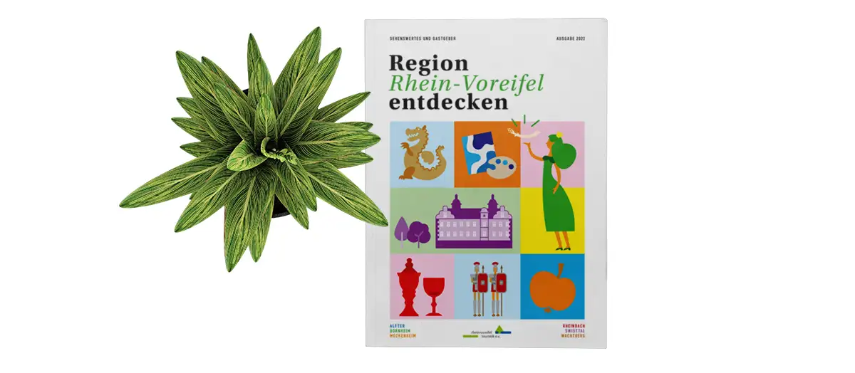 Das Cover des Rhein-Voreifelmagazins mit einer Zimmerpflanze als Deko. Man sieht den Schriftzug "Rhein-Voreifel Entdecken" und darunter alle Icons die die Region symbolisieren.